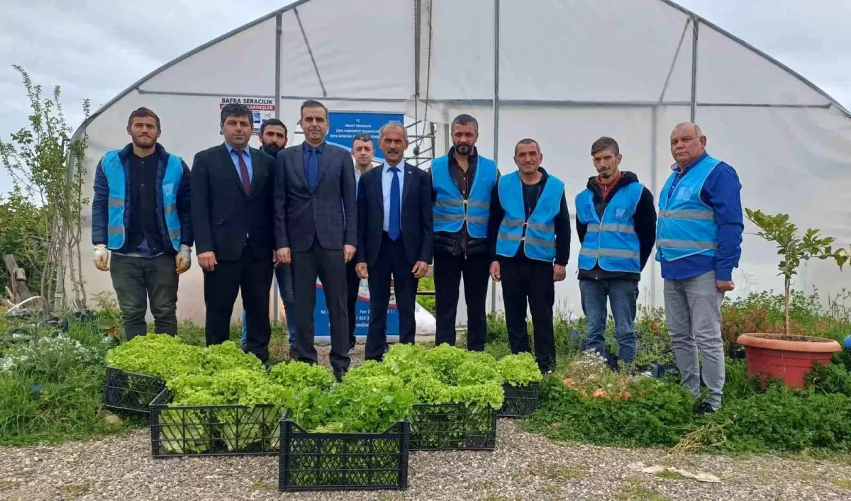 Denetimli Serbestlikteki Hükümlüler Tarımla Topluma Kazandırılıyor