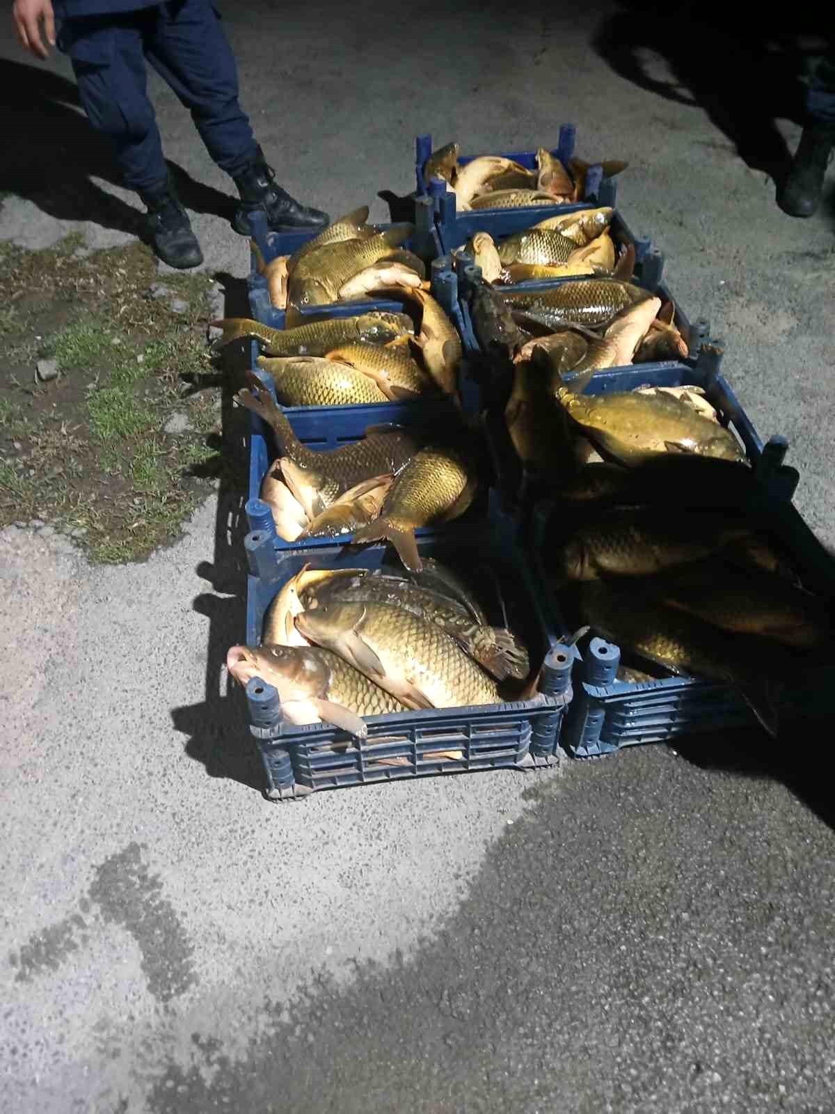 Elazığ'da Kaçak Avcılığa Geçit Yok: 210 Kilogram Balık Ele Geçirildi