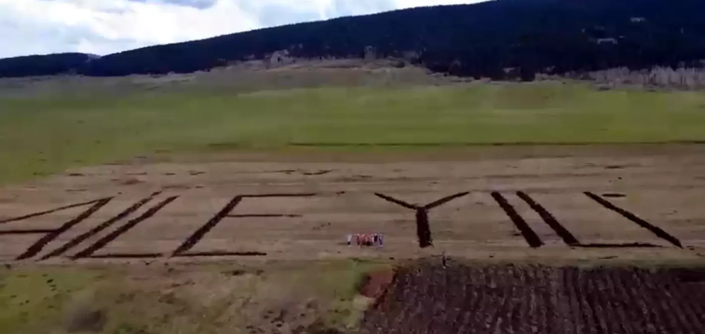Ardahan'da tarlasına traktörüyle 'Aile Yılı' yazdı