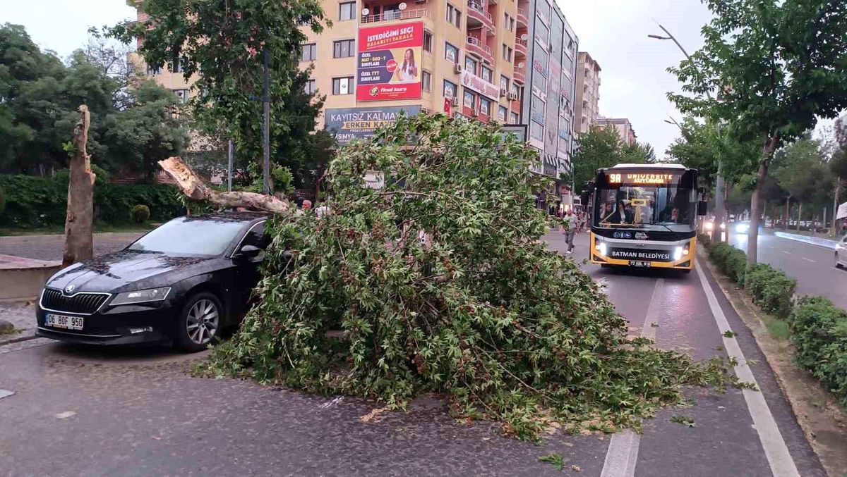 Batman'da Şiddetli Rüzgar Ağaç Devrildi, Araç Zarar Gördü