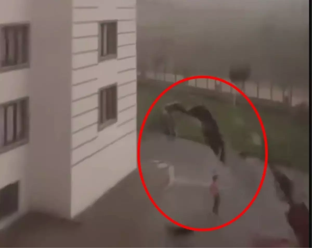 Fırtınada Çatı Parçası Çocuğun Üzerine Düştü