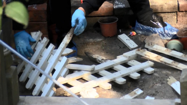 The penalty requested for the attack on Mattia Ahmet Minguzzi's grave has been revealed