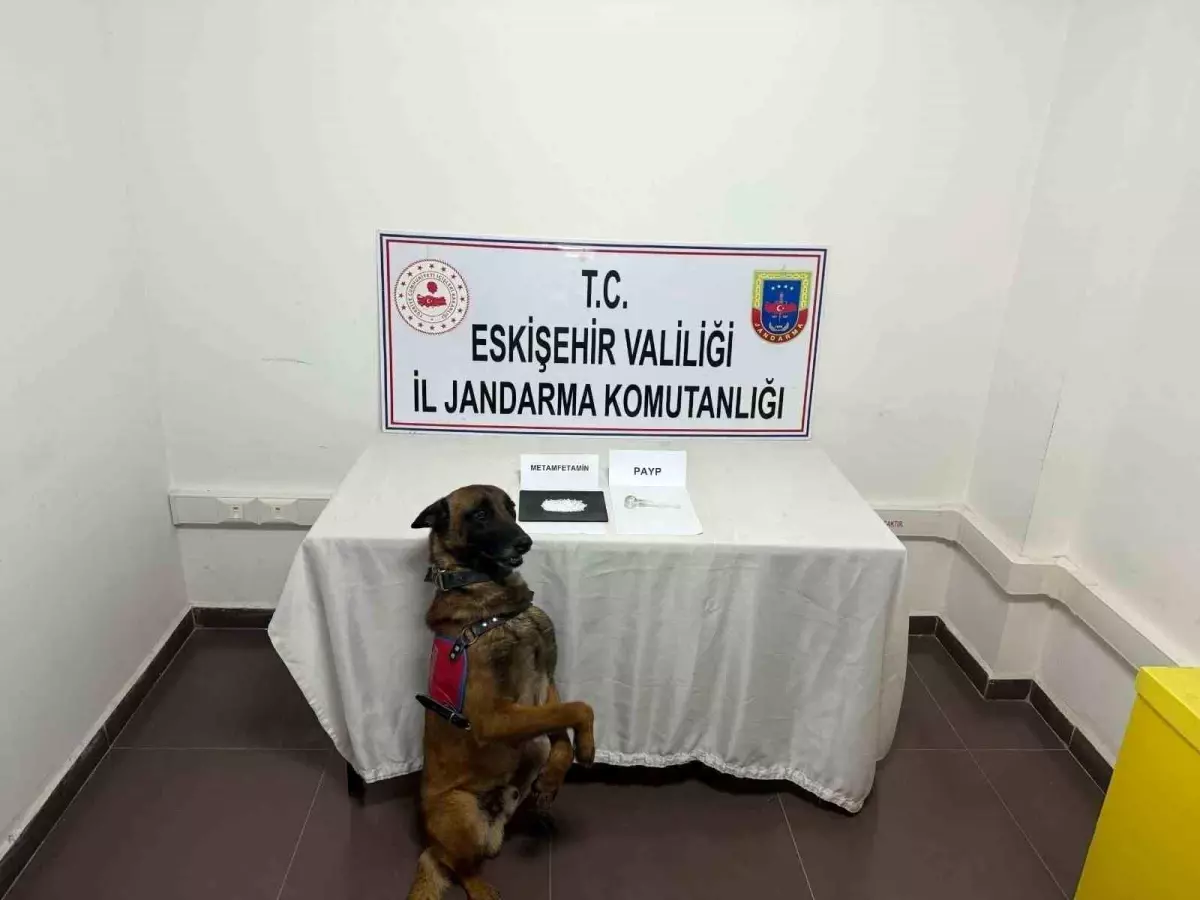Eskişehir'de Uyuşturucu Taşıyan Şüpheli Yakalandı