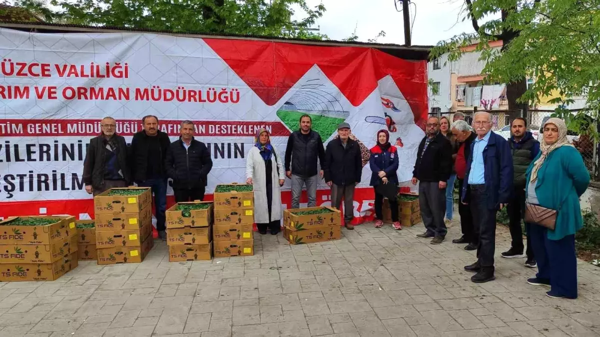 Düzce'de Fide Dağıtımı ile Tarım Üretimi Artıyor