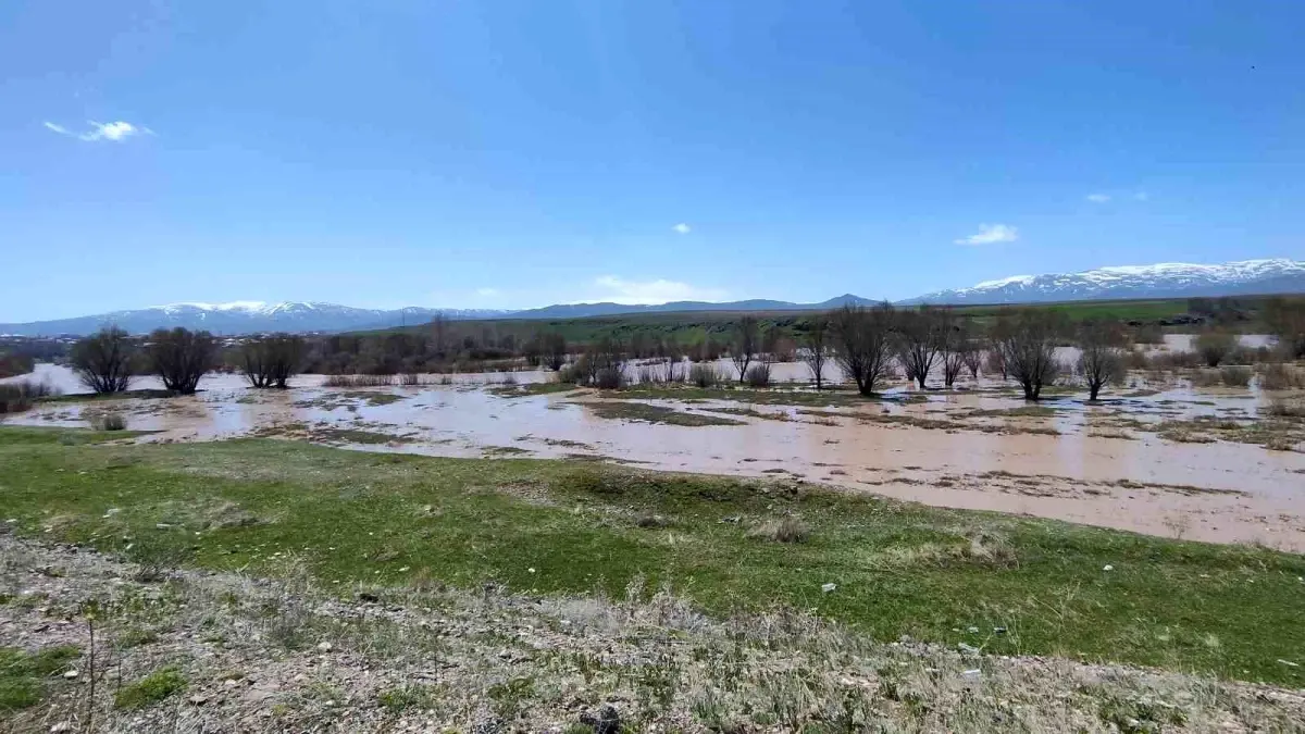 Ağrı'nın Taşlıçay İlçesinde Murat Nehri Taştı