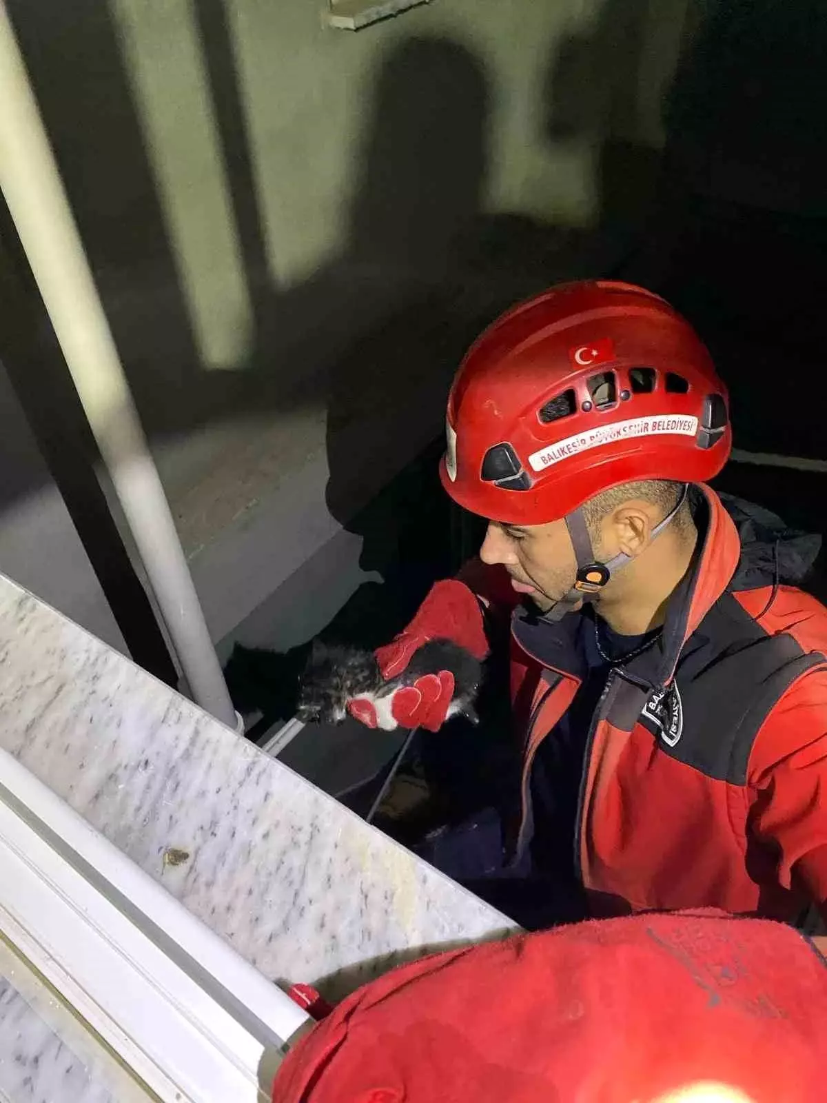 Gömeç İtfaiye Ekipleri, Yavru Kediyi Kurtardı