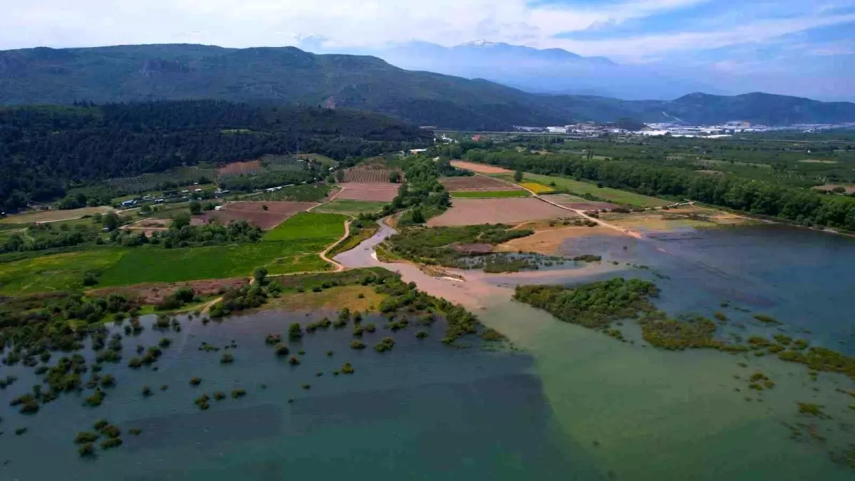 Bursa'da Çiftçiler DSİ'den Ek Süre İstiyor