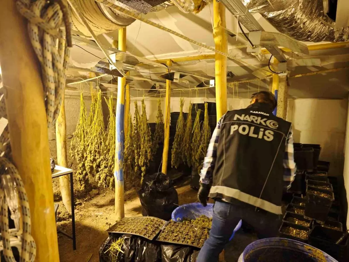 Karaman'da Gizli Serada Kenevir Yetiştiren İki Kişi Yakalandı