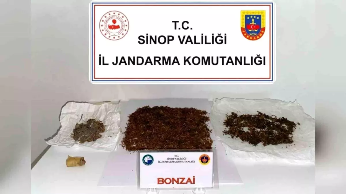 Sinop'ta Uyuşturucu Operasyonu: 30,25 Gram Bonzai Ele Geçirildi