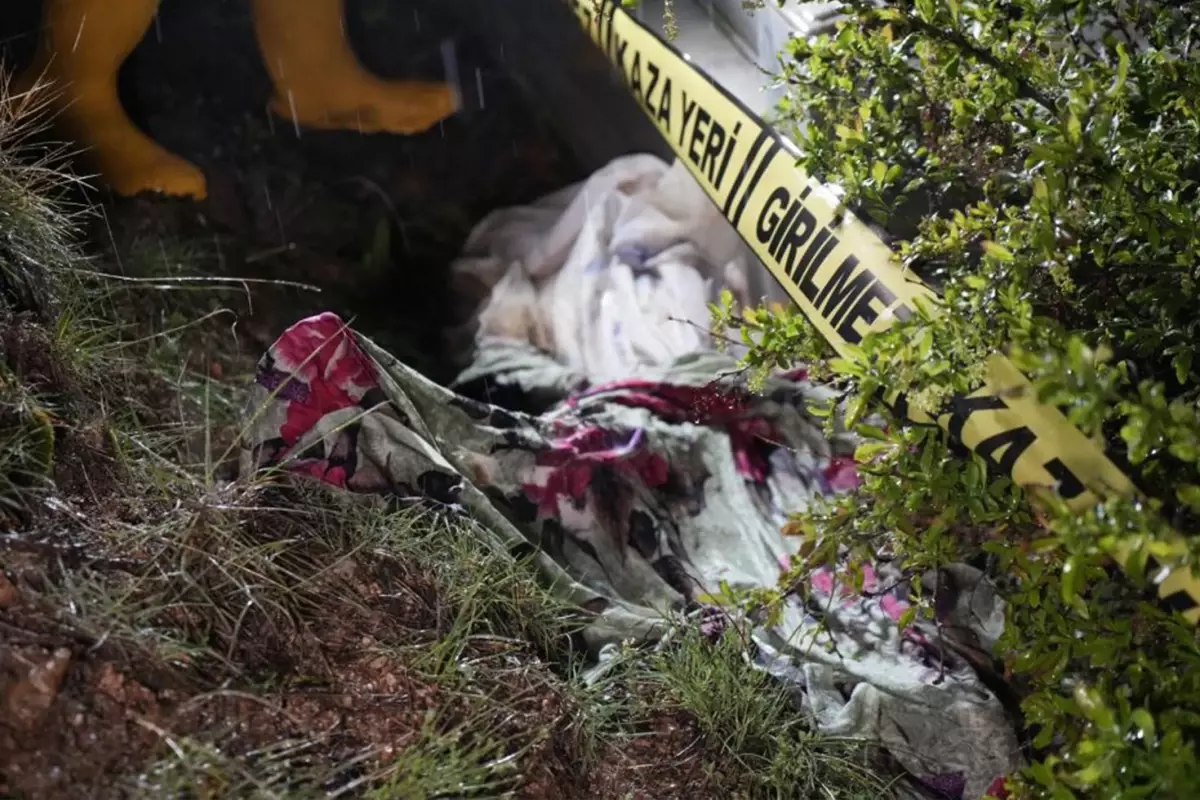 Yiyecek arayan ayı mezarlığa dadandı! Mezarı tahrip etti, cenazeyi mezardan çıkardı