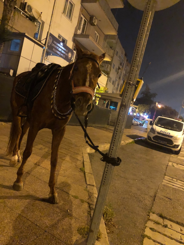 The young man going to the market on his horse is shocked by a penalty for 'driving under the influence'