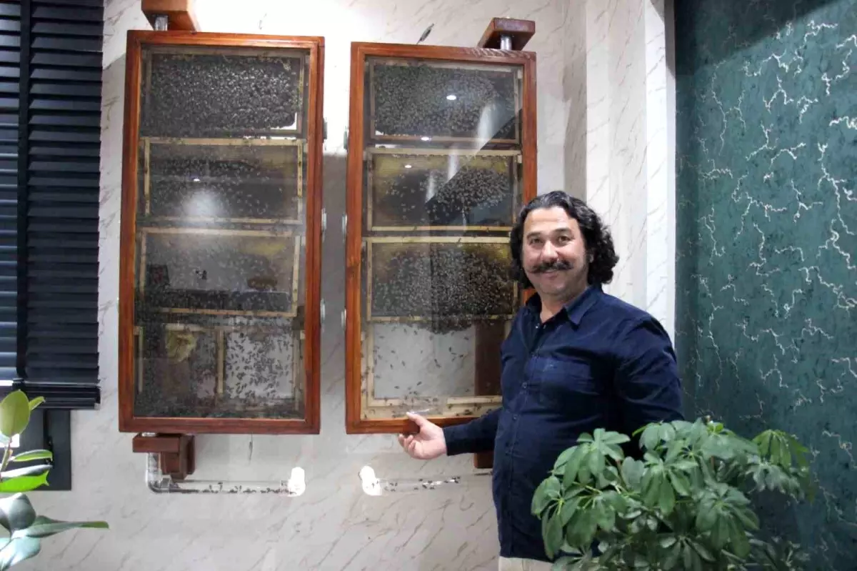 İş İnsanı Hidayet Gülpınar'ın Ofisinde Cam Arı Kovanı