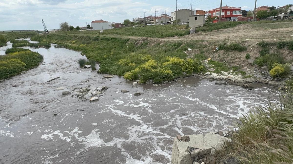 Tekirdağ'da Çevre Kirliliğine 50 Milyon Lira Ceza
