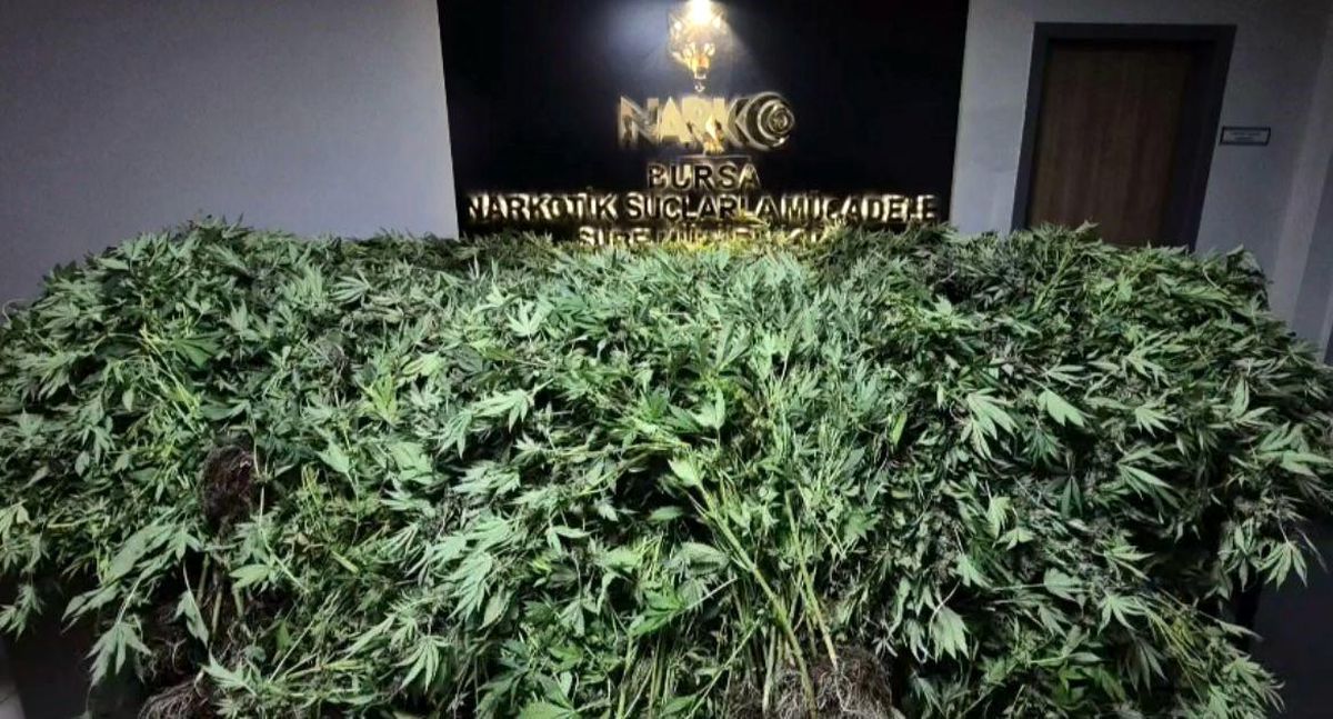 Bursa'da Uyuşturucu Operasyonu: 41 Şüpheli Yakalandı
