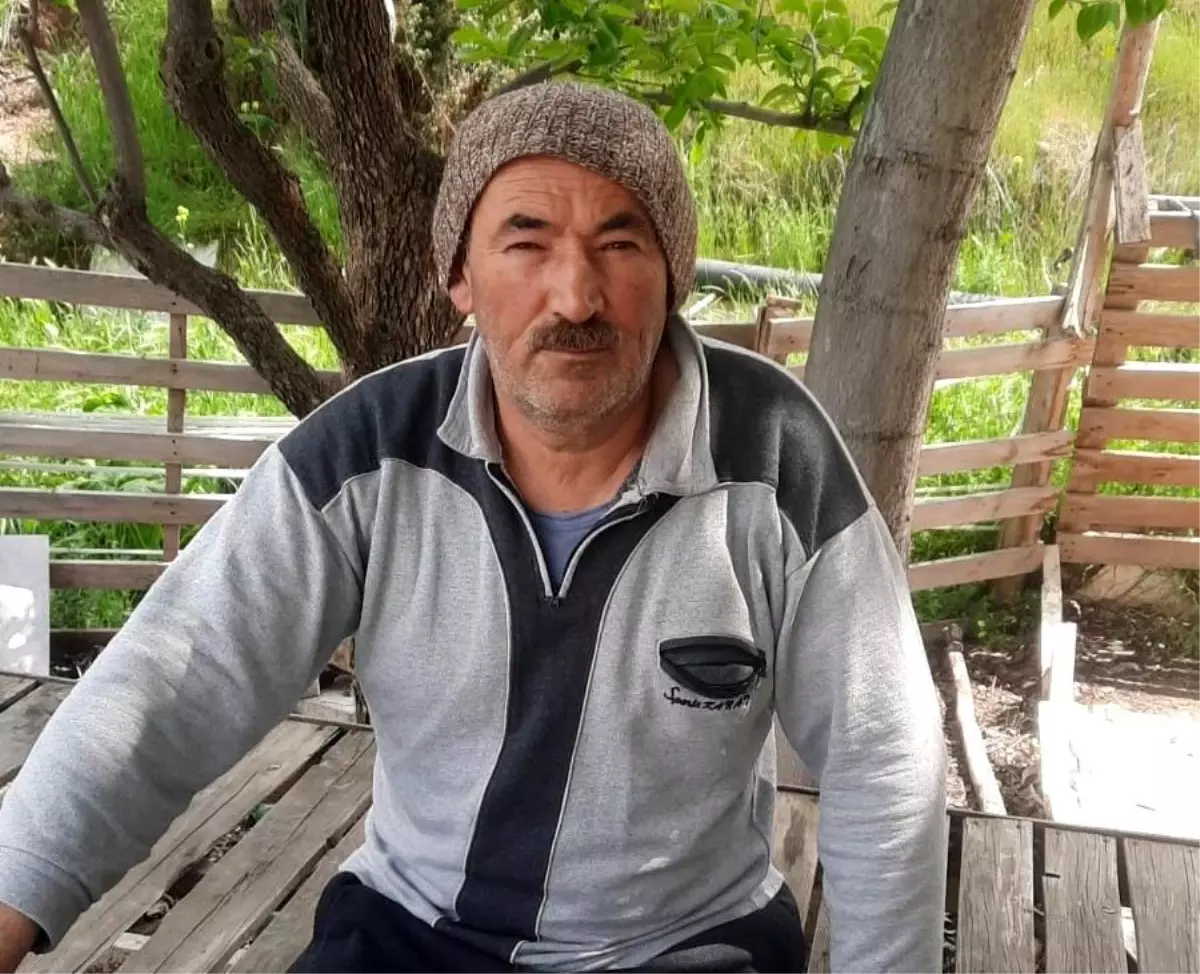 Kurbanlık Kuzulara Kurt Saldırısı: 6 Hayvan Telef Oldu