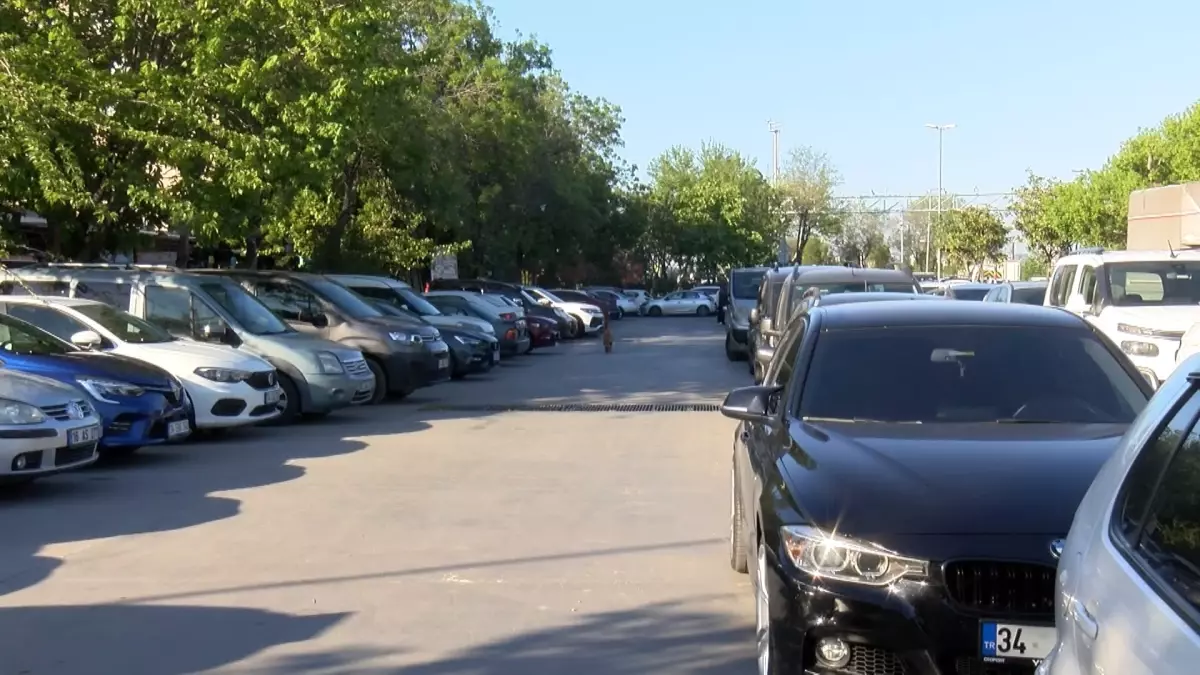 Avcılar'da Güneşli Hafta Sonu: Aileler Park ve Sahillere Akın Etti
