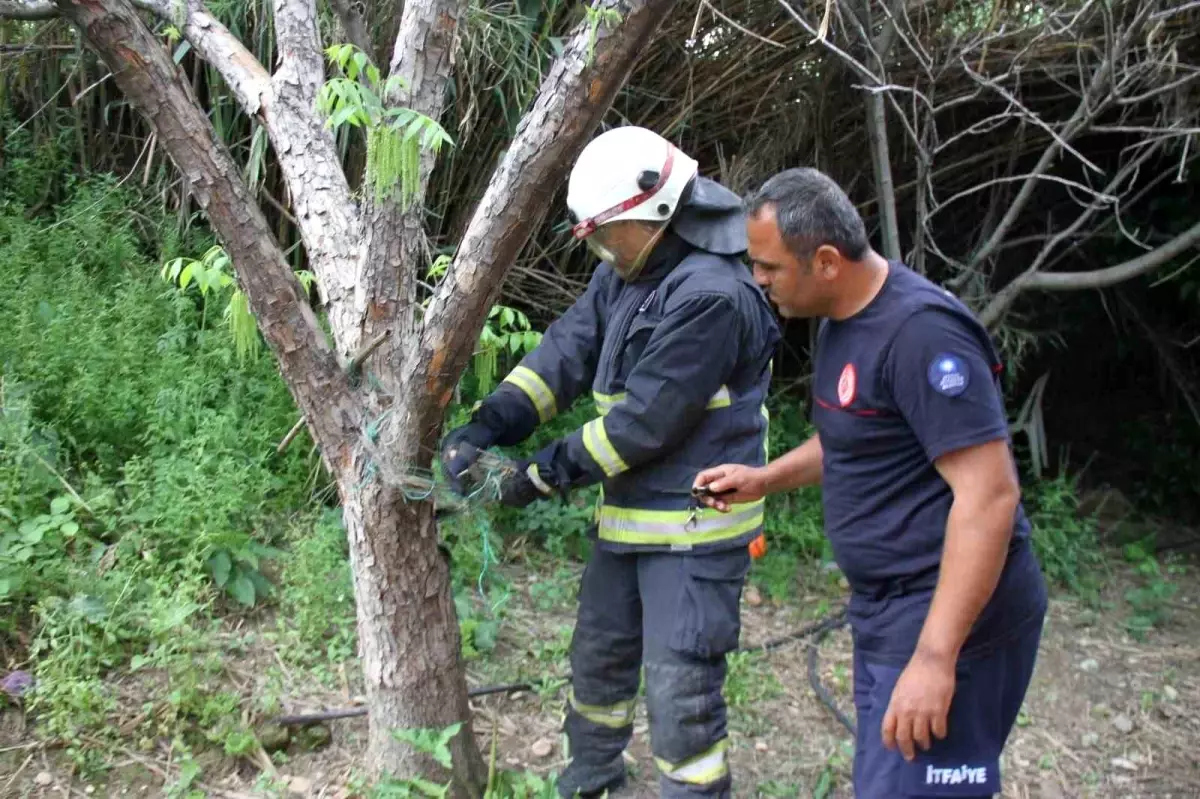 Serik'te İtfaiye Ekipleri Yılanı Kurtardı