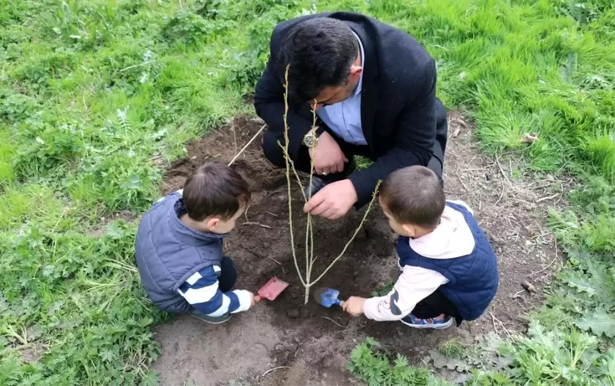 Davut Köyü'nde Fidan Dikimi Etkinliği Düzenlendi