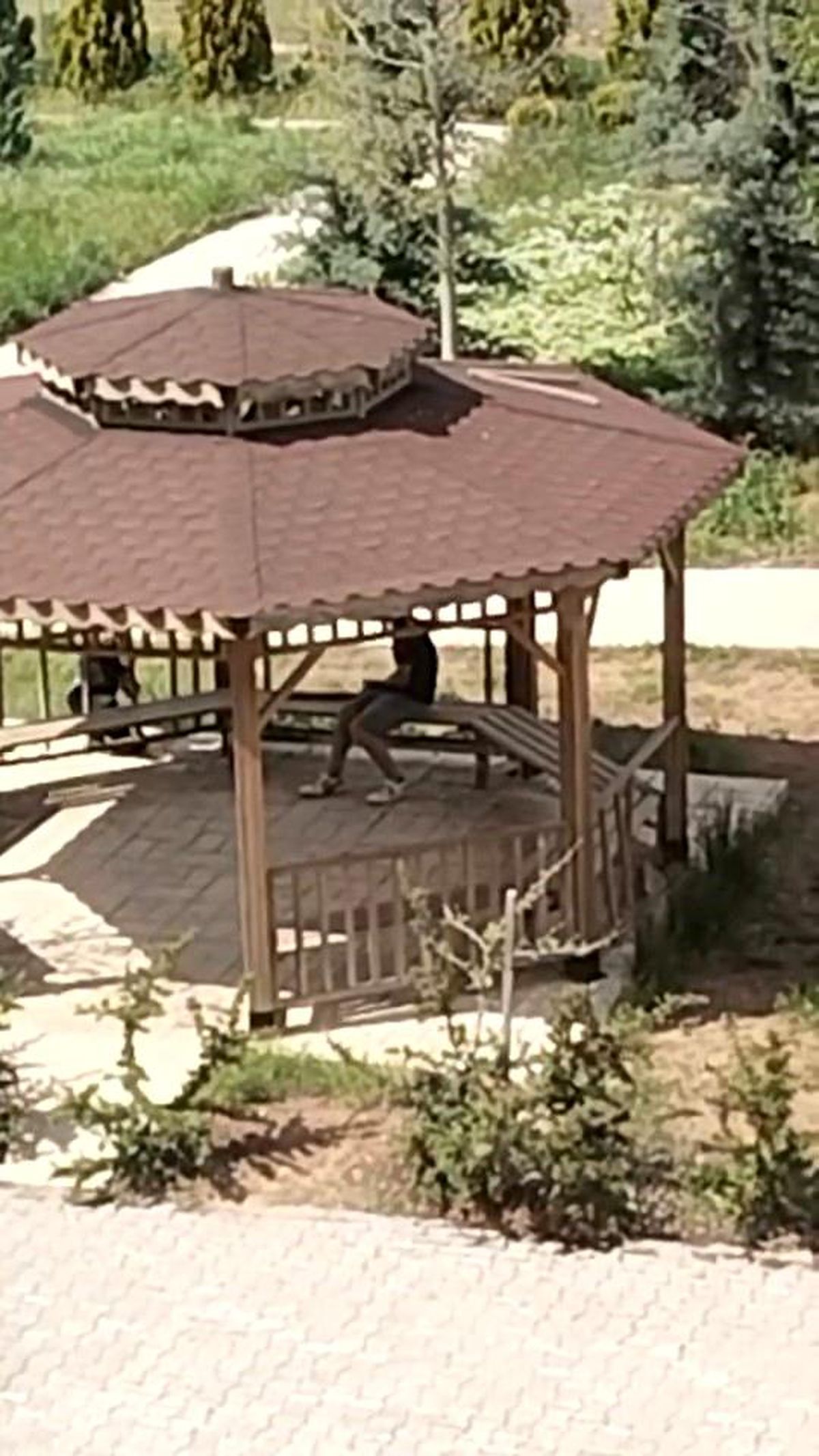 Elazığ'da İki Kişi Parkta Kamelyalara Zarar Verdi