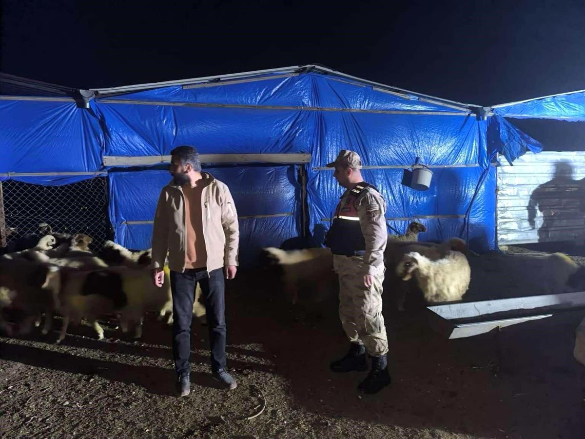 Kilis'te Kaybolan 25 Küçükbaş Hayvan Bulundu