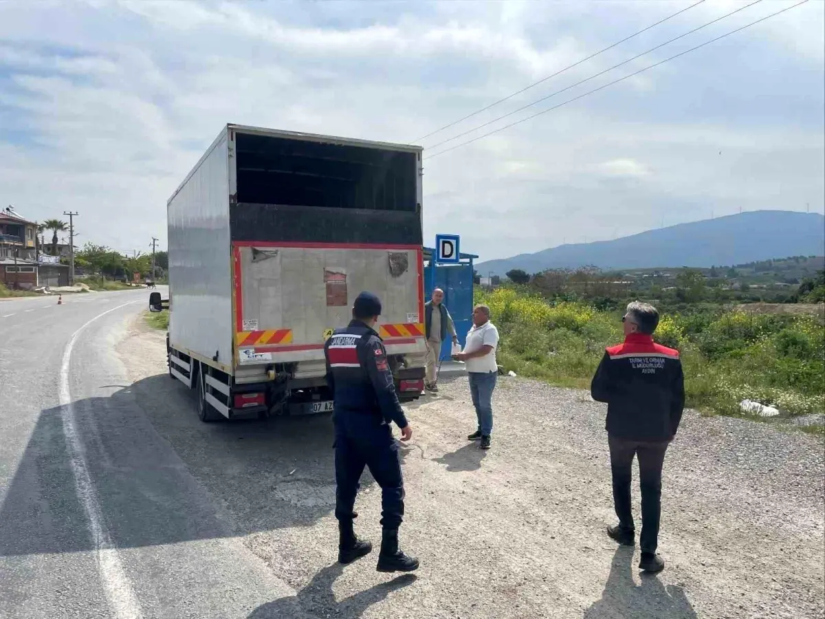 Kuşadası'nda Hayvan Sağlığı İçin Ortak Denetim