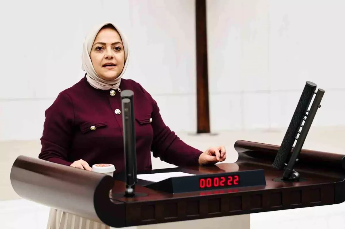 Denizli Milletvekili Sema Silkin Ün'den Özgür Özel'e Kınama Mesajı