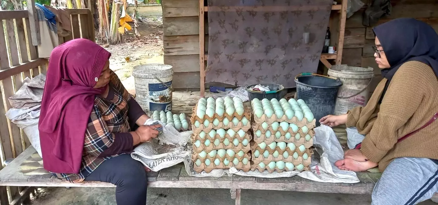 TİKA'dan Endonezya'ya 500 Kapasiteli Yumurtalık Çiftlik