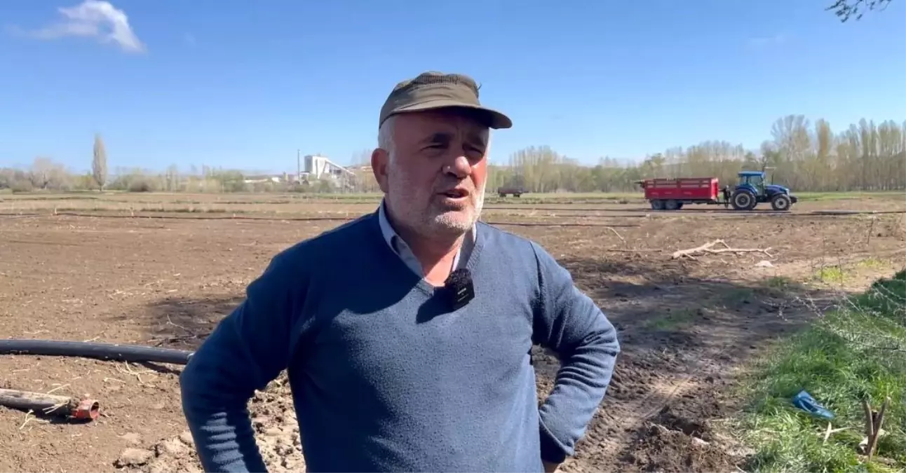 Yozgat'ta Şeker Pancarında Kuraklık ve Zorluklar