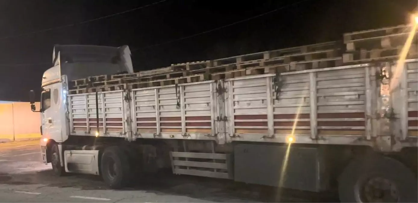 Bitlis'te Düzensiz Göçmen Operasyonu: 42 Göçmen ve 2 Organizör Yakalandı