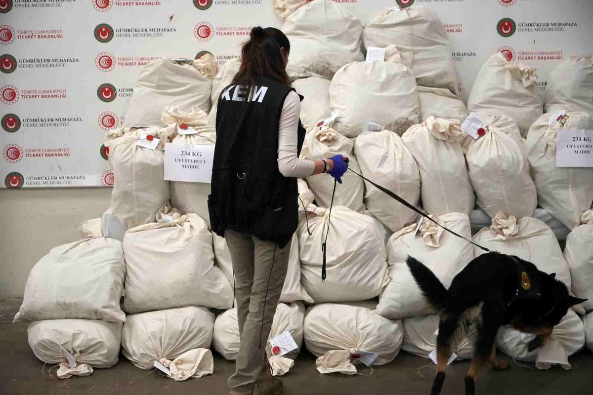 Kapıkule Sınır Kapısı'nda 233 Kilogram Uyuşturucu Ele Geçirildi