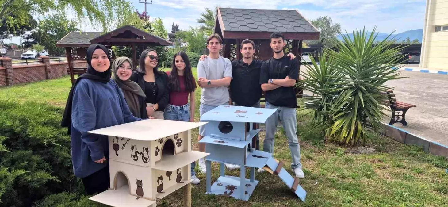 Havran Meslek Yüksekokulu Öğrencileri Sokak Kedileri İçin Kedi Evleri Tasarladı