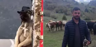 Kamyon kasasında sarkan köpeğin sahibi konuştu! İşte olayın iç yüzü