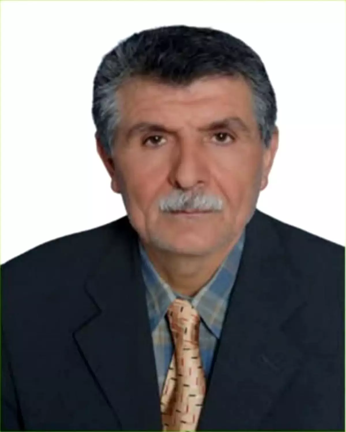 Yenice'de Kayıp Hayvanı Ararken Ölü Bulunan Yaşlı Adam