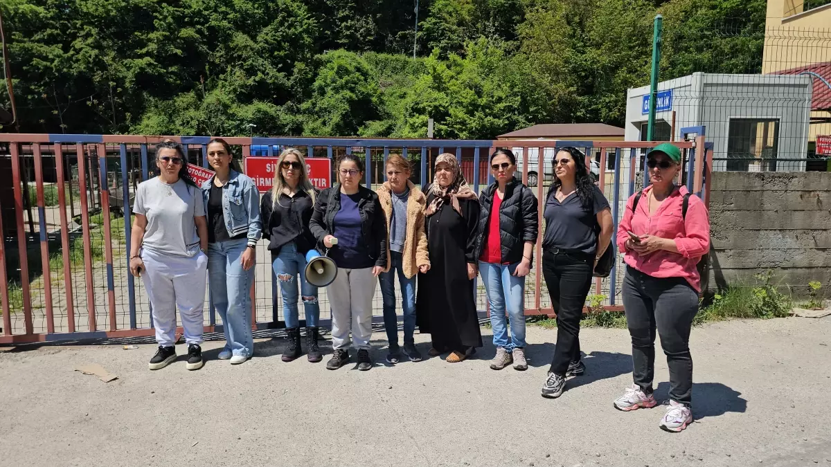 Zonguldak'ta Saldırgan Sokak Köpeği Uyutuldu, Hayvanseverlerden Tepki