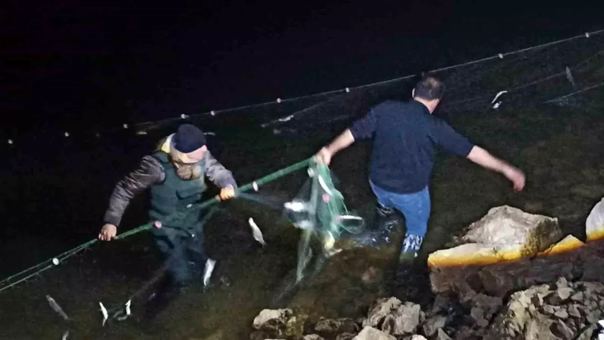 Van Gölü'nde İinci Kefali İçin Av Yasağı Uygulaması Sürüyor