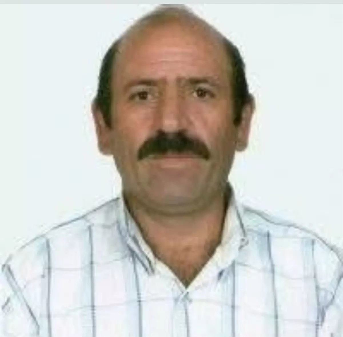 Nijde Otoyolu'nda Trafik Kazası: 4 Kişi Hayatını Kaybetti