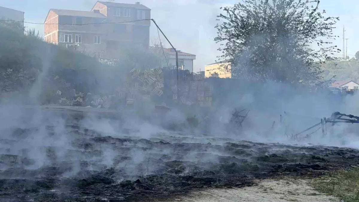 İstanbul Arnavutköy'de Fabrika Yangını Paniğe Neden Oldu