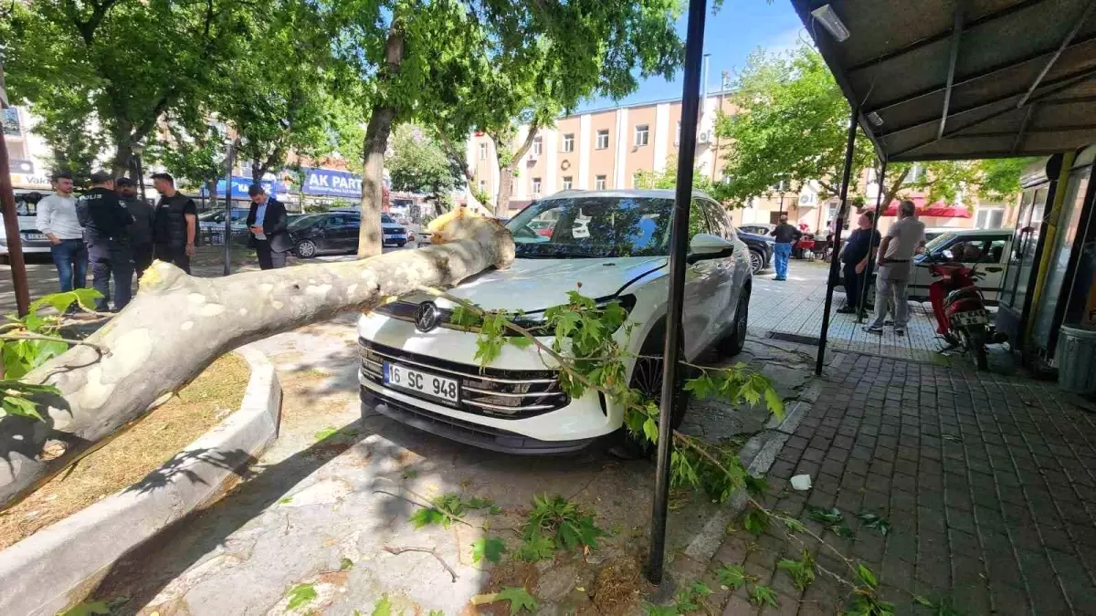 Bursa'da Çınar Ağacından Kopan Dal Park Halindeki Araca Düştü
