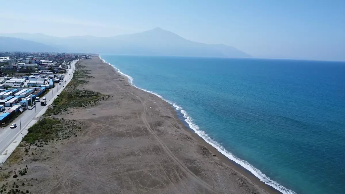 Yeşil Deniz Kaplumbağalarının Korunması Tehlikede