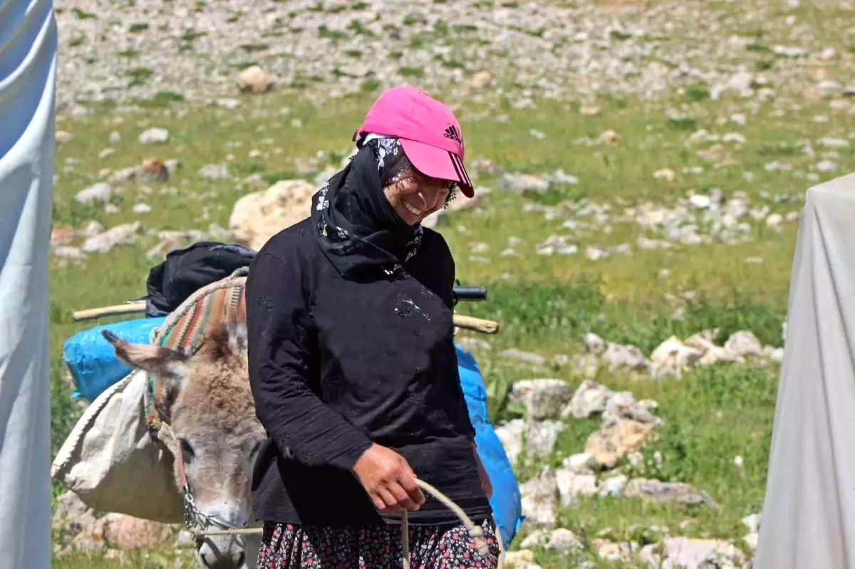Zor Koşullarda Peynir Üretimi: Erzincan Göçerleri Hayata Tutunuyor