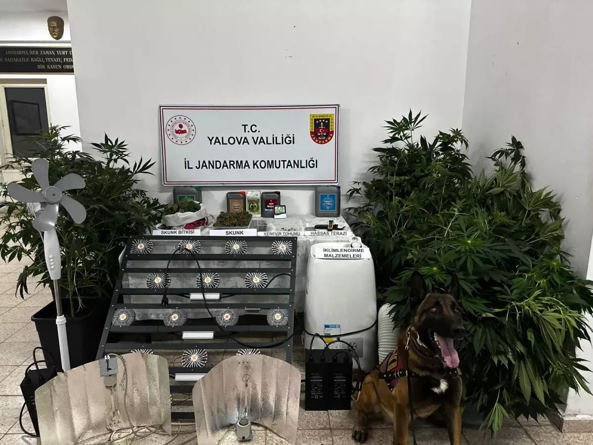 Uyuşturucu İmalatı Yapan Şüpheli Tutuklandı