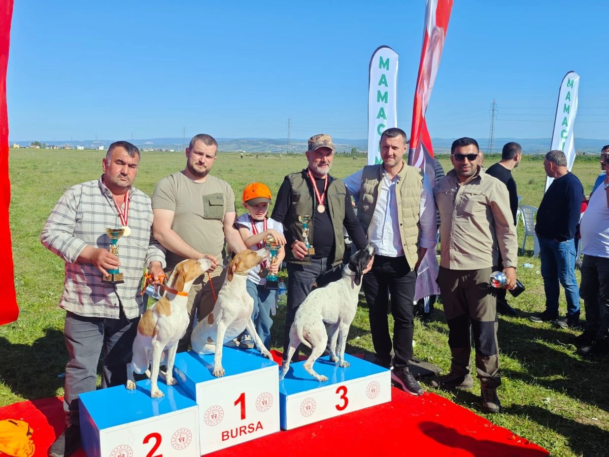 Yenişehir'de Fermalı Av Köpekleri Yarışması Yapıldı