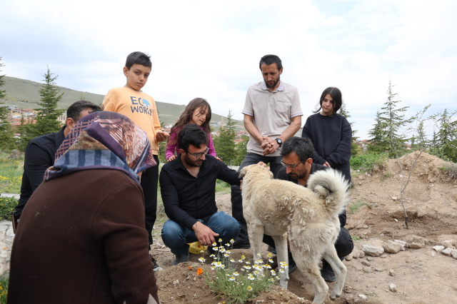Garip does not leave the head of his owner's grave