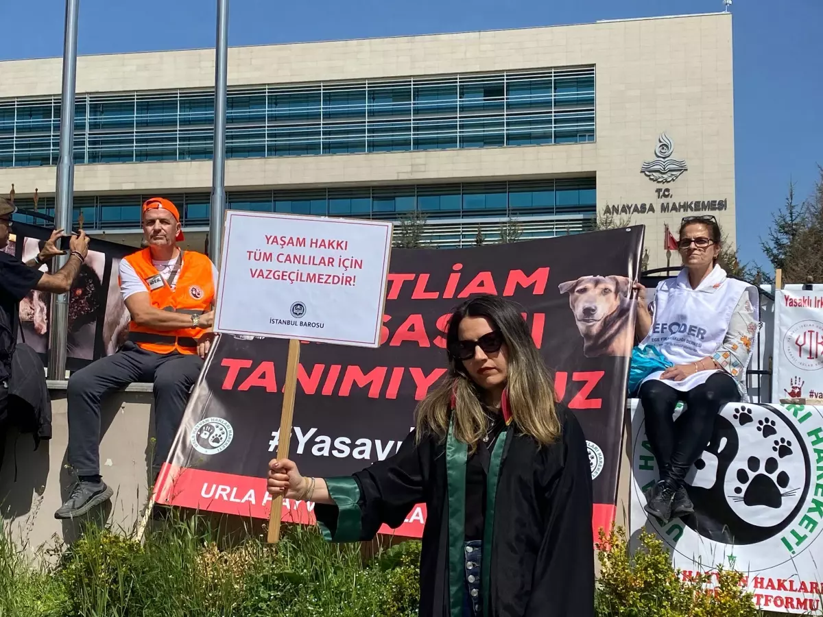 Hayvanseverler AYM Önünde Yasayı İptal Etmek İçin Nöbet Tutuyor