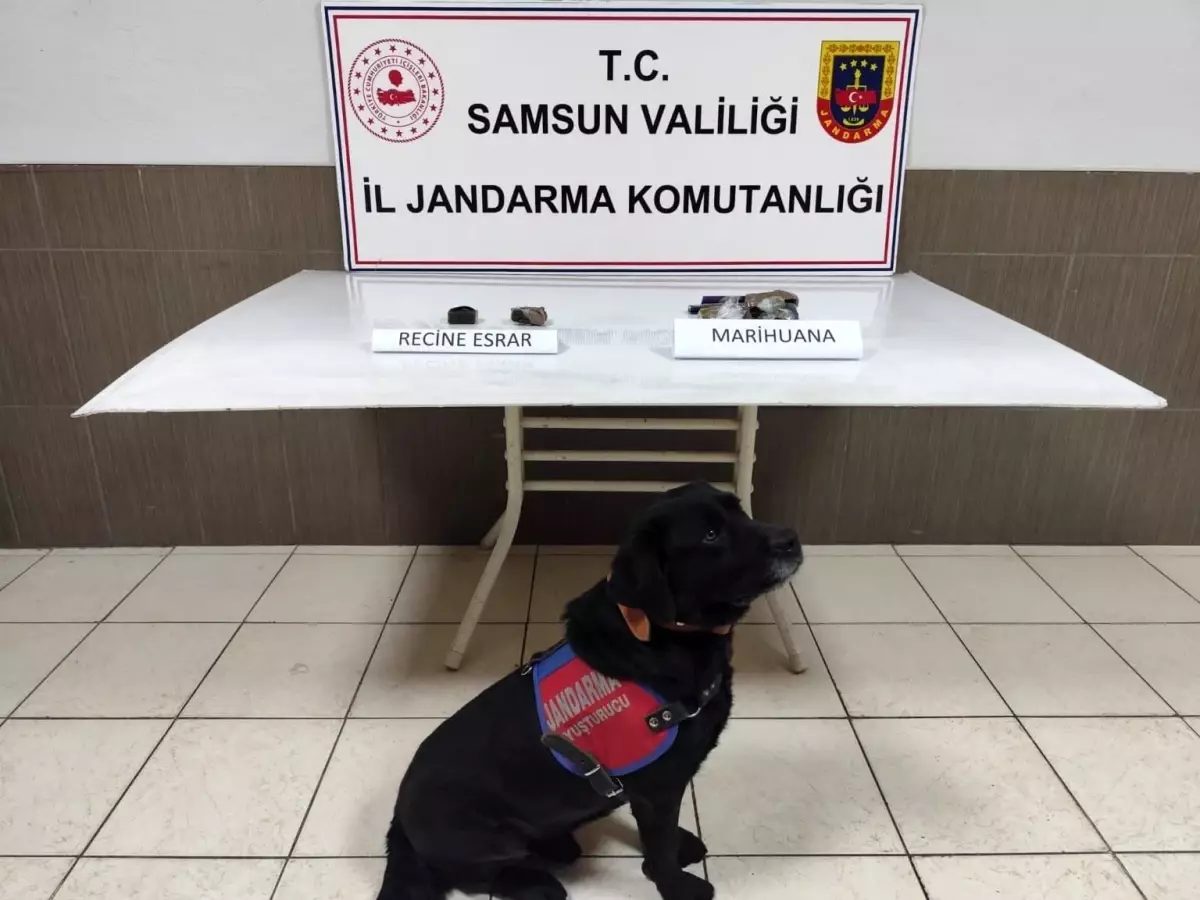 Samsun'da Uyuşturucu Operasyonu: 1 Gözaltı