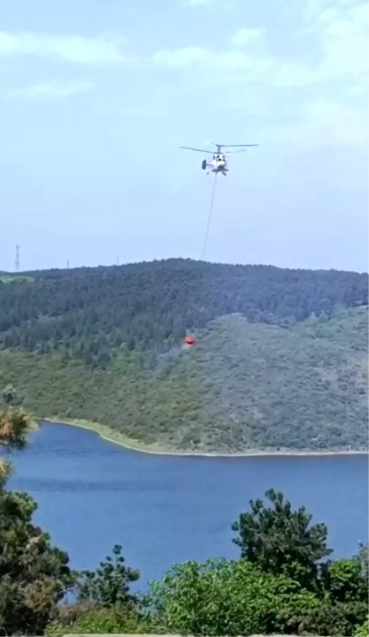 Sultangazi'de Kent Ormanı'nda Yangın Çıktı