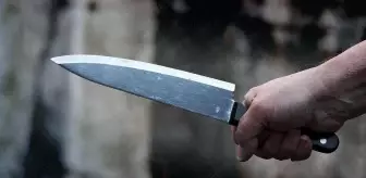 ABD'de bir lisenin önündeki bıçaklı saldırıda 1 öğrenci öldü, 2 öğrenci yaralandı