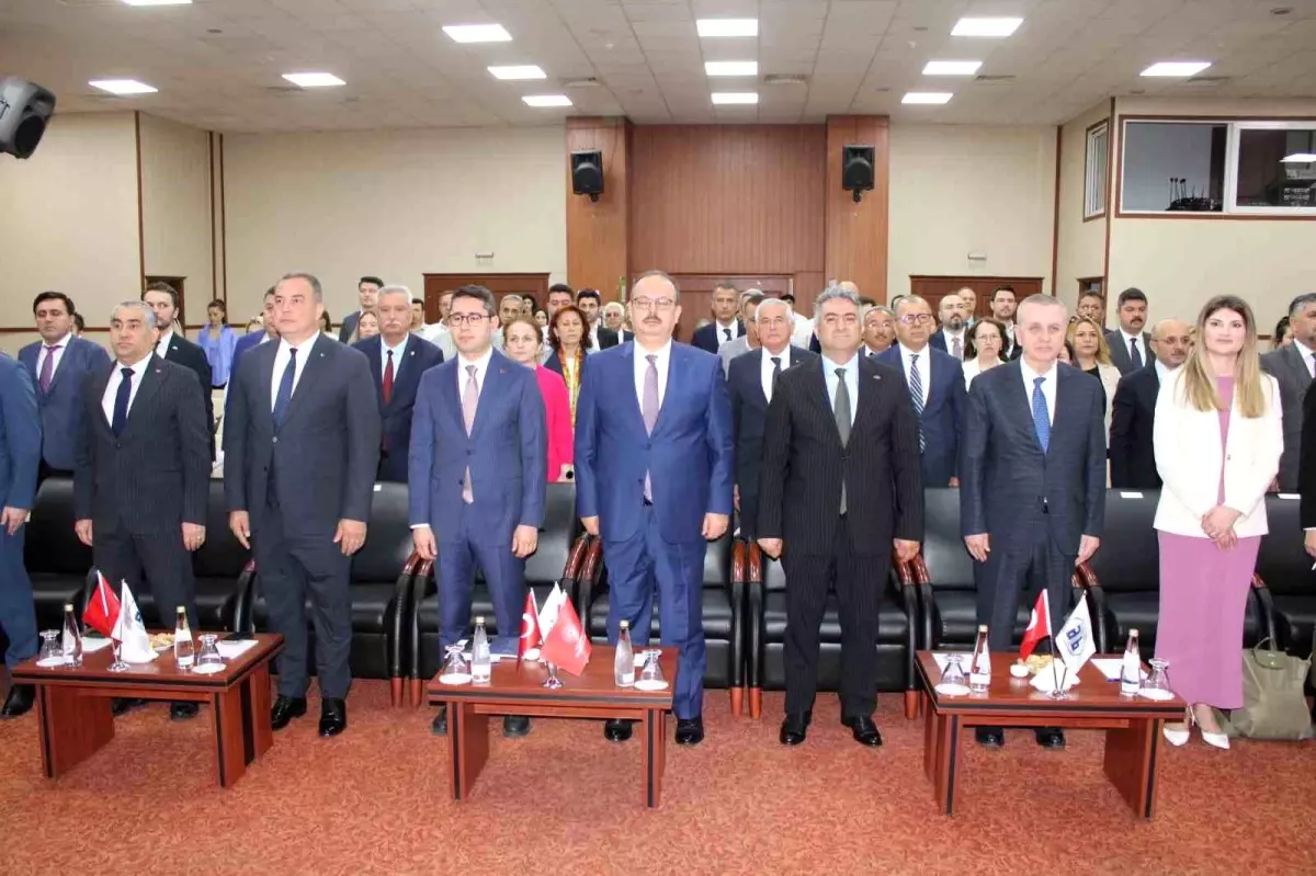 Aydın Memecik Zeytinyağı, dünya markası olacak