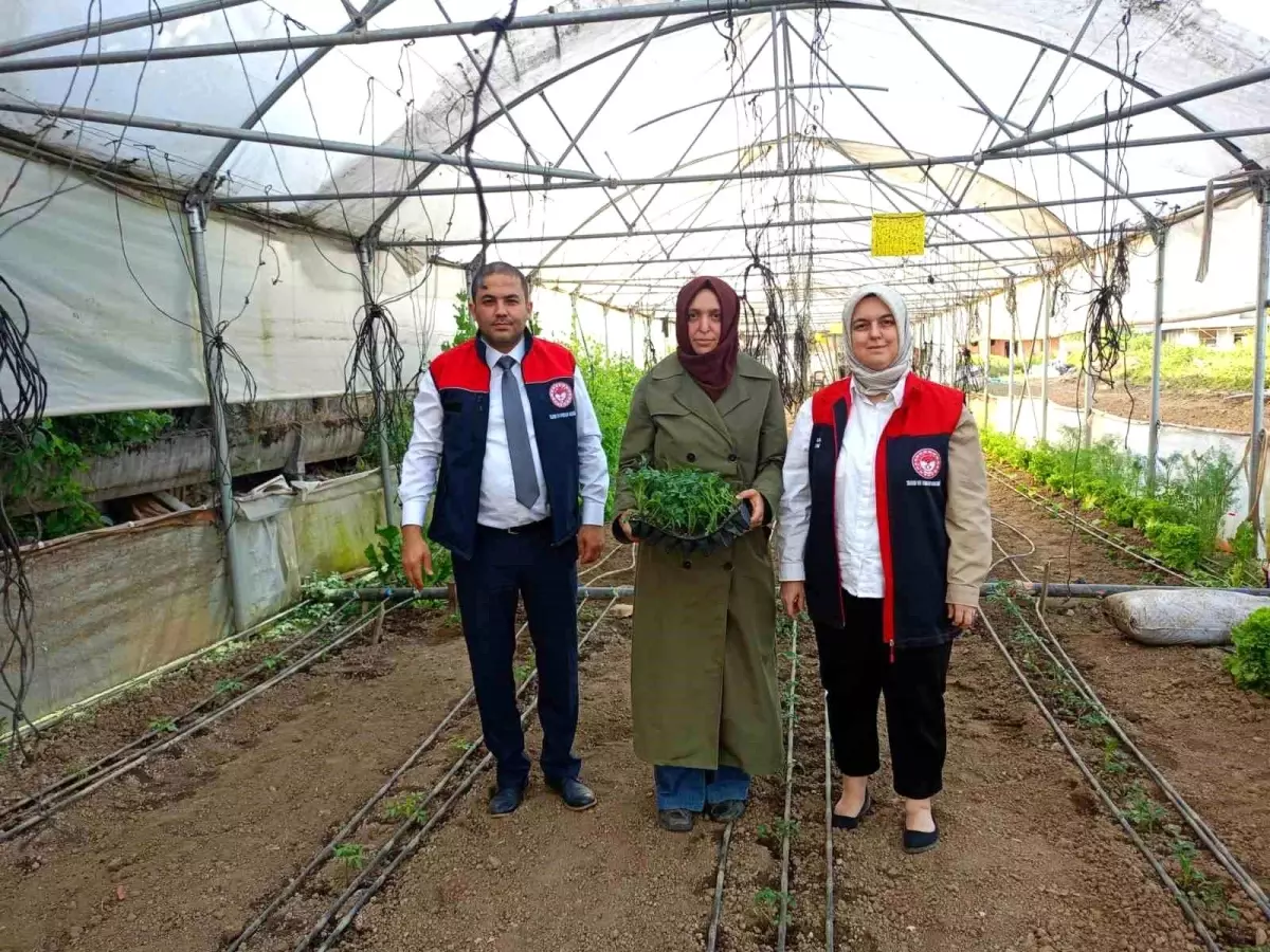Düzce'de Kadın Üreticilerin Sera Ziyareti