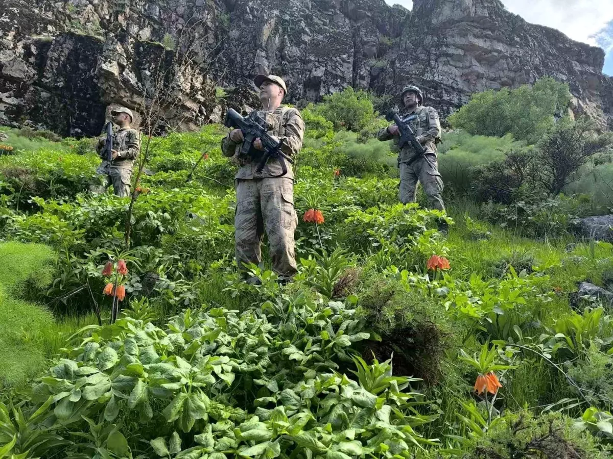 Hakkari'de Ters Laleler Koruma Altında